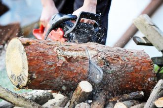 chainsaw blade cutting log of wood